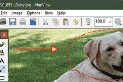 图像处理:功能强大而小巧的看图工具 IrfanView
